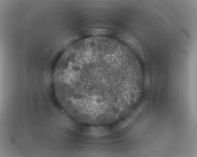 X0000113620367200910161958