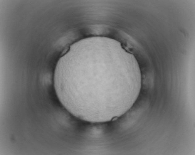 X0000113620368200910161958