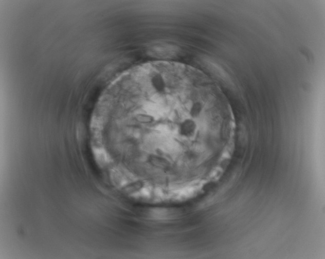 X0000113620371200910161958
