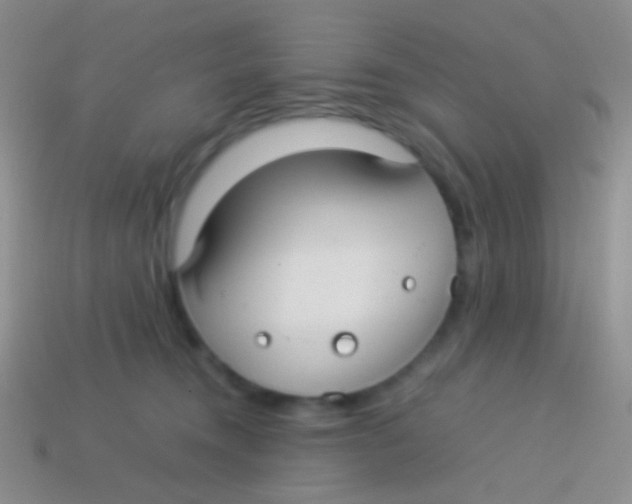 X0000113620372200910161958