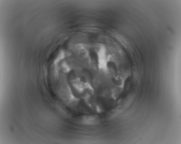X0000113620373200910161958