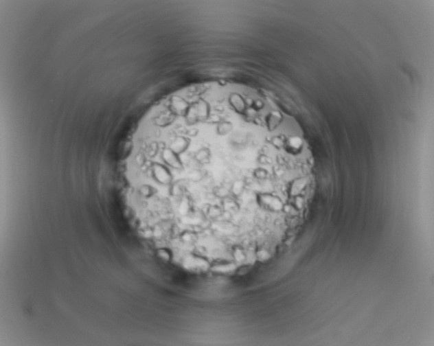 X0000113620374200910161958