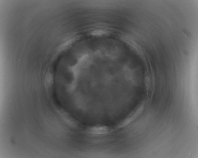 X0000113620375200910161958