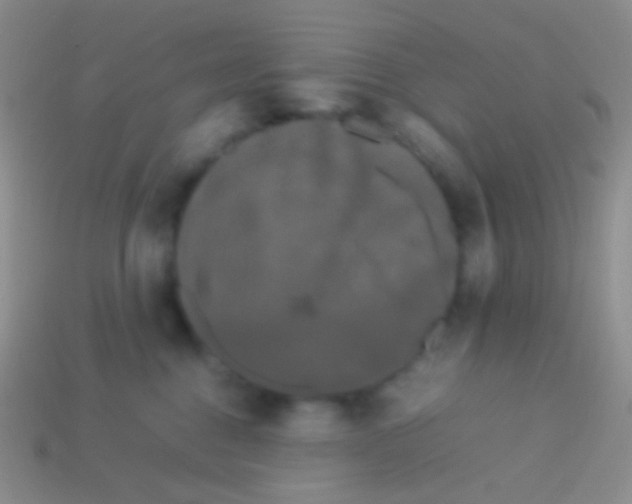 X0000113620376200910161958