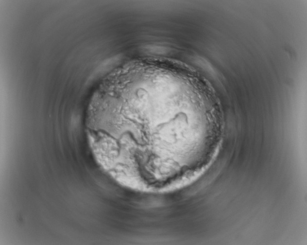 X0000113620377200910161958