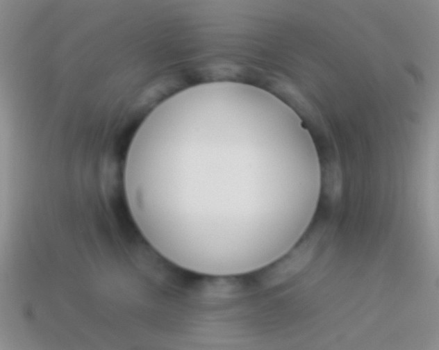 X0000113620378200910161958