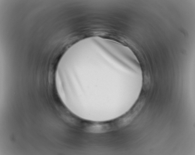 X0000113620379200910161958