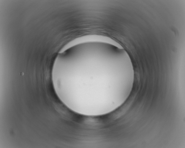 X0000113620380200910161958