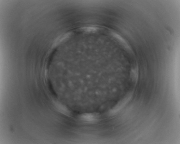 X0000113620381200910161958