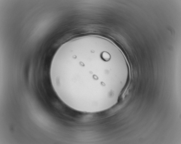 X0000113620382200910161958
