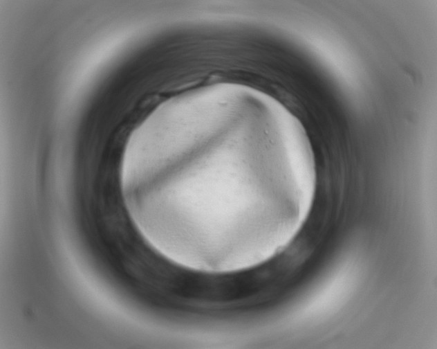 X0000113620383200910161958