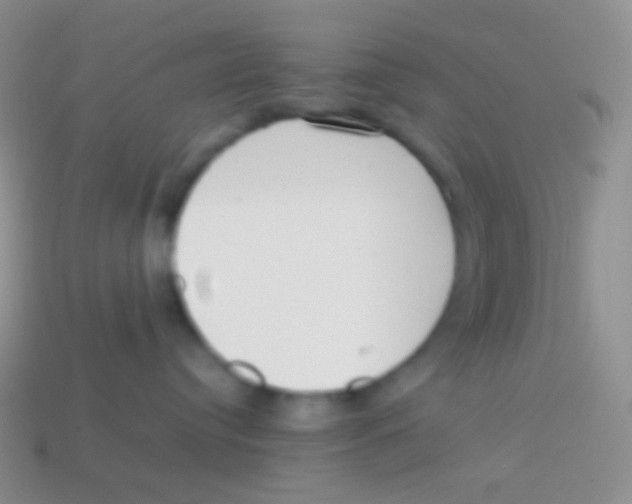 X0000113620384200910161958
