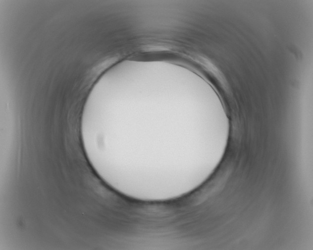X0000113620385200910161958