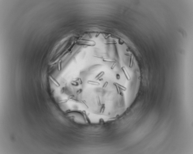 X0000113620386200910161958