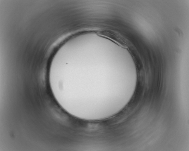 X0000113620388200910161958