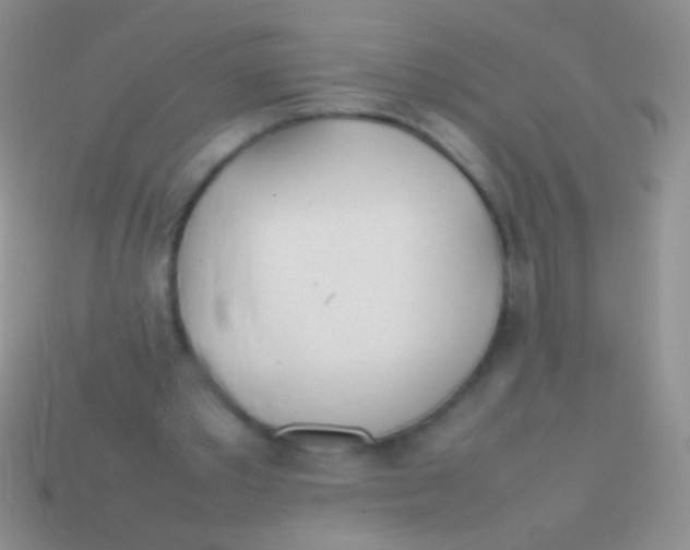 X0000113620389200910161958
