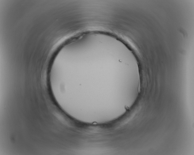 X0000113620391200910161958