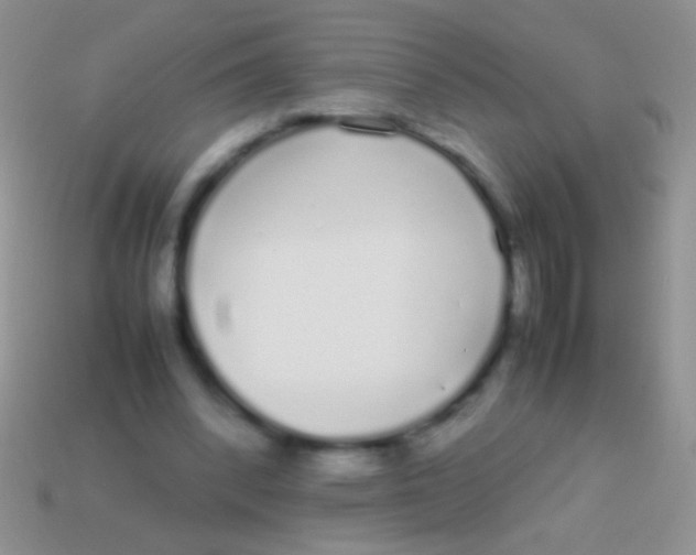 X0000113620392200910161958