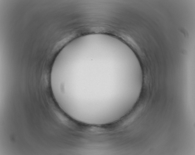 X0000113620393200910161958