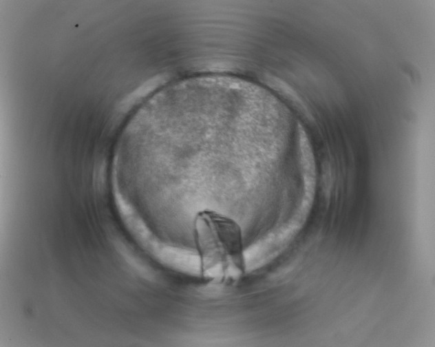 X0000113620394200910161958