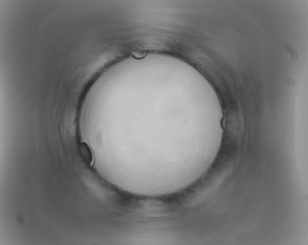 X0000113620395200910161958