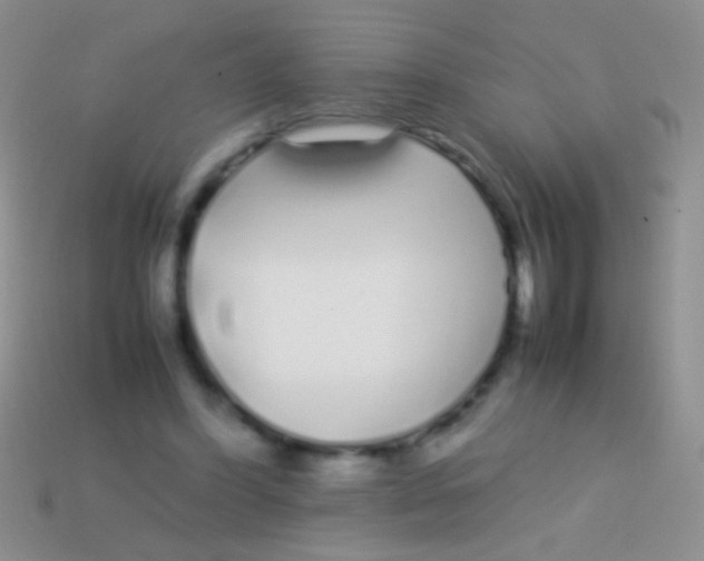 X0000113620396200910161958