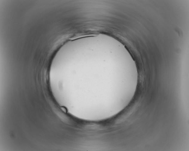 X0000113620397200910161958