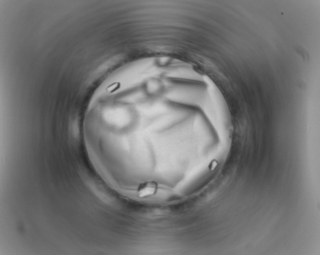 X0000113620398200910161958