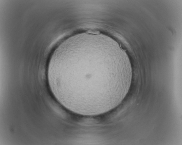X0000113620399200910161958