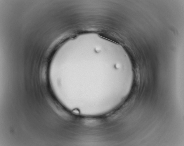 X0000113620400200910161958