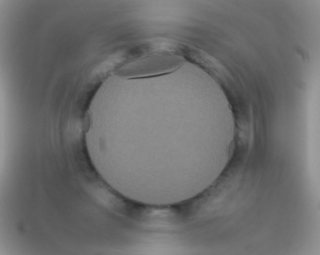 X0000113620401200910161958