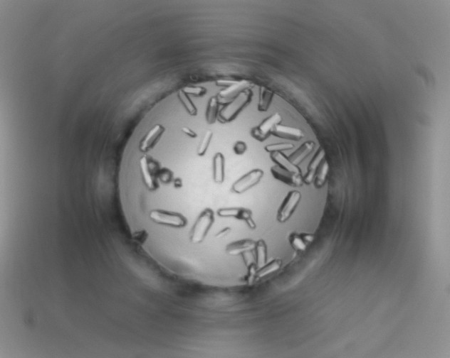 X0000113620402200910161958