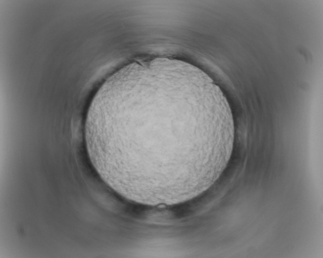 X0000113620403200910161958