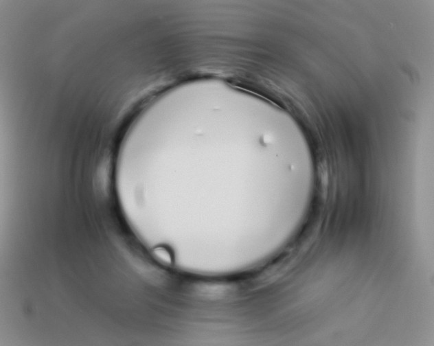 X0000113620404200910161958