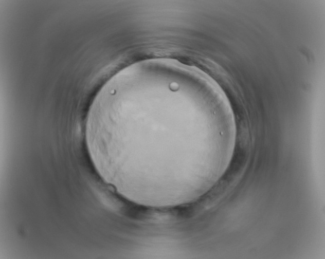 X0000113620405200910161958