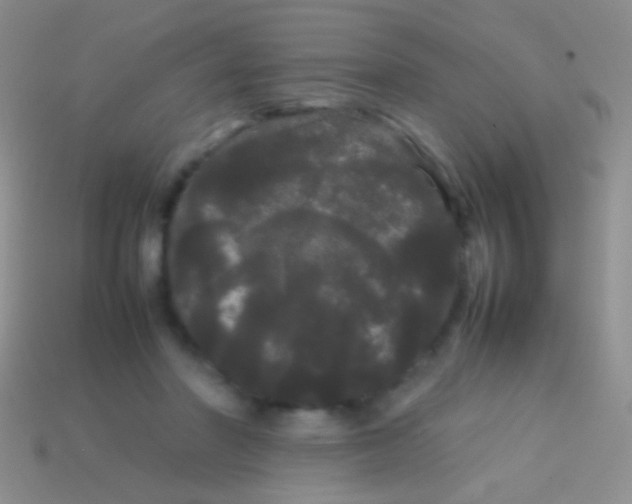 X0000113620406200910161957