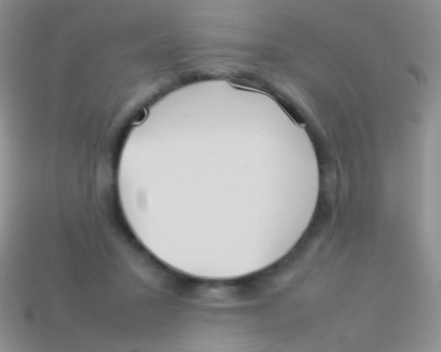 X0000113620407200910161957
