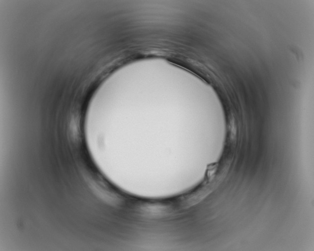 X0000113620408200910161957