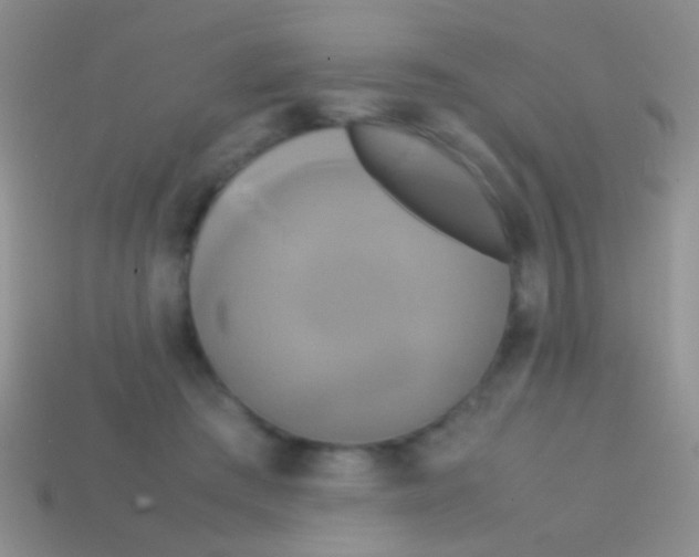 X0000113620409200910161957