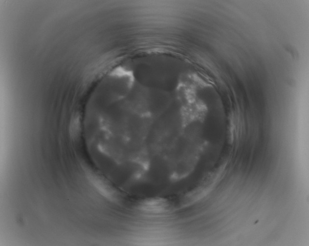 X0000113620410200910161957