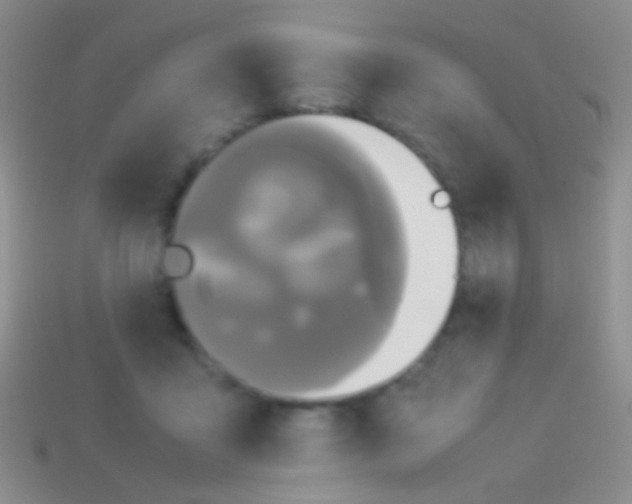 X0000113620411200910161957