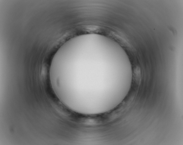 X0000113620412200910161957