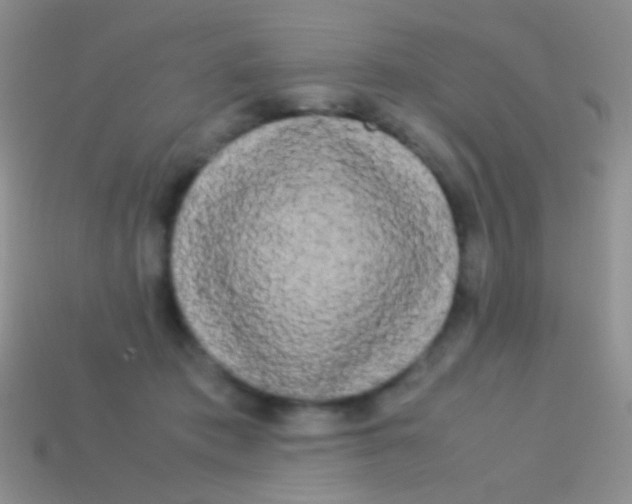 X0000113620413200910161957