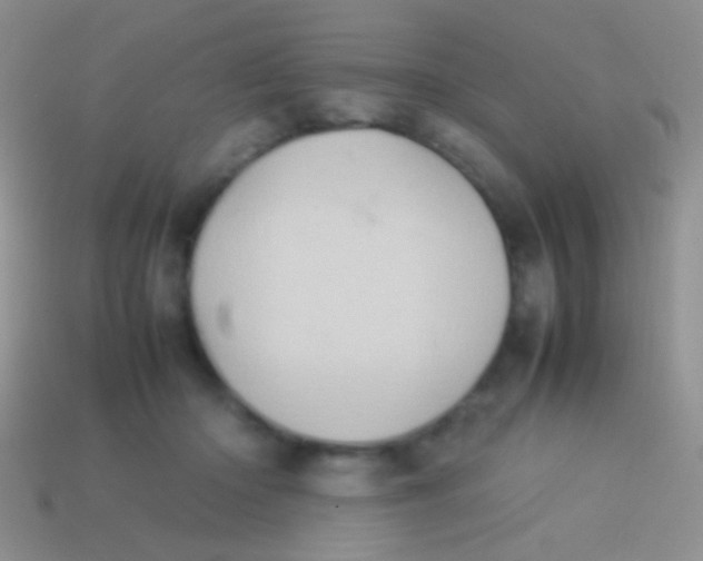 X0000113620414200910161957