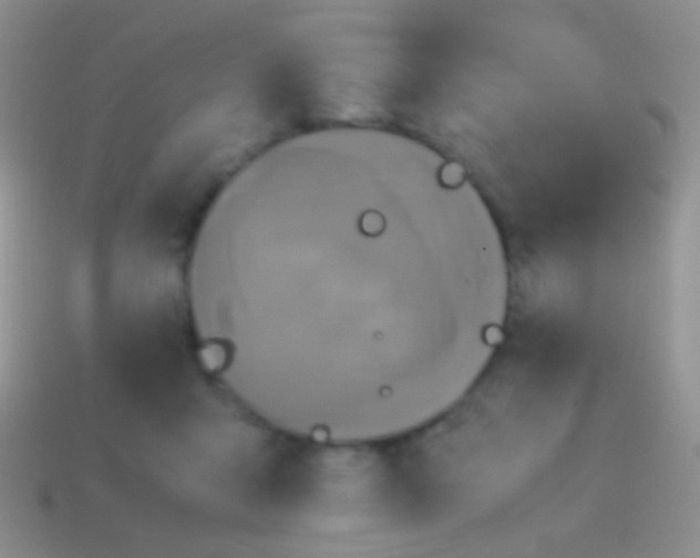 X0000113620415200910161957