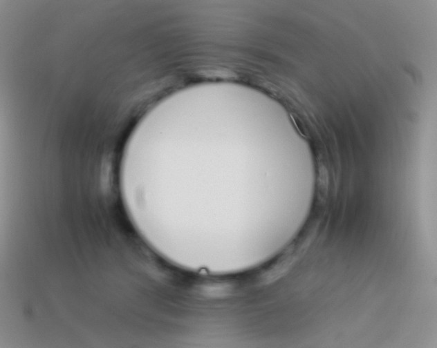 X0000113620416200910161957