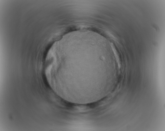X0000113620417200910161957