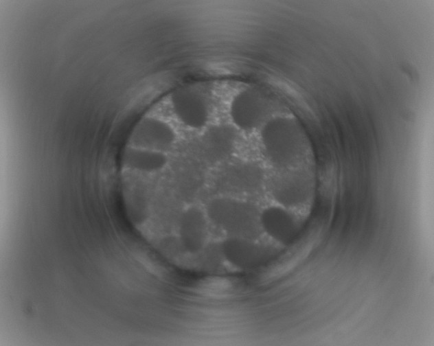 X0000113620418200910161957