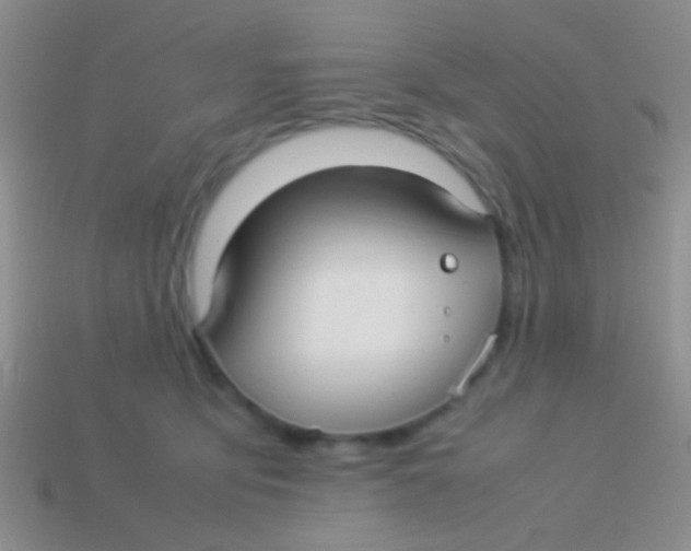 X0000113620419200910161957