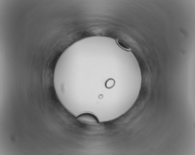 X0000113620421200910161957
